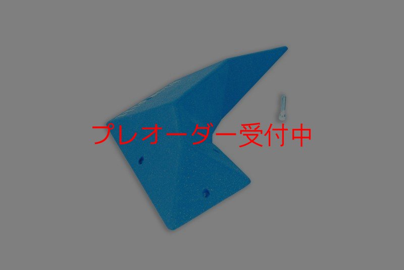 画像1: BP bad wing right 750/プレオーダー (1)