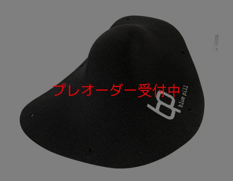 画像1: BP　オリジナルス　ファイバーグラス　6/プレオーダー (1)