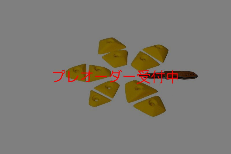 画像1: GR　テクトニクス プレート　FEET/プレオーダー (1)