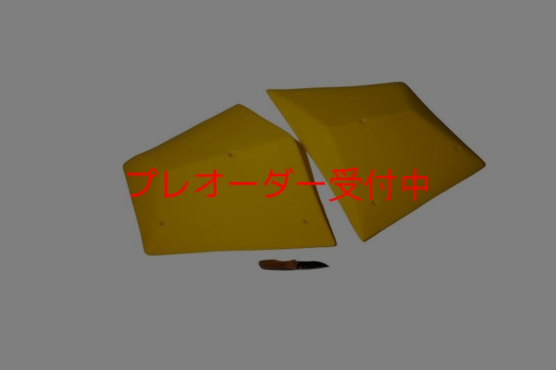 画像1: GR　テクトニクス プレート　XXL/プレオーダー (1)