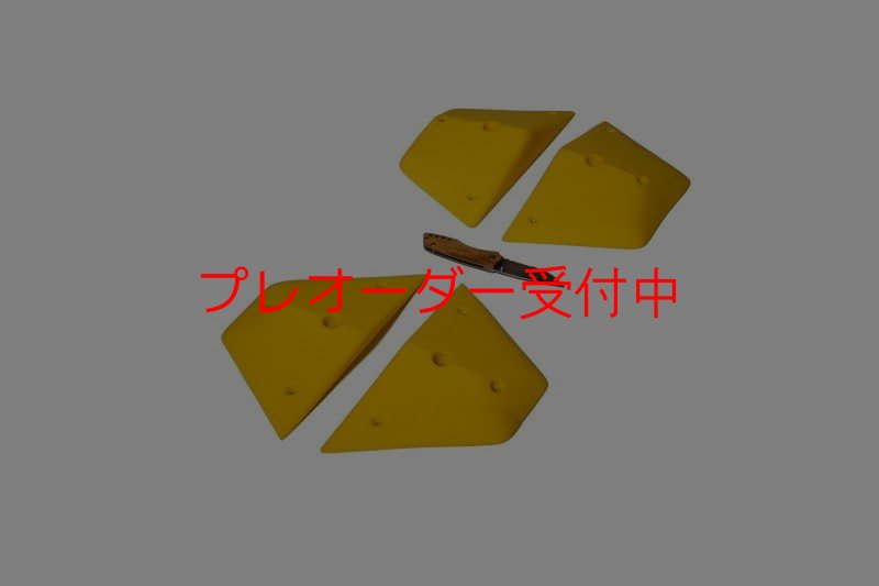 画像1: GR　テクトニクス プレート　M/プレオーダー (1)