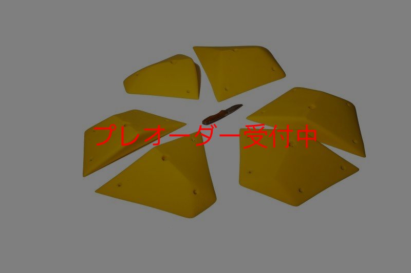画像1: GR　テクトニクス プレート　L/プレオーダー (1)