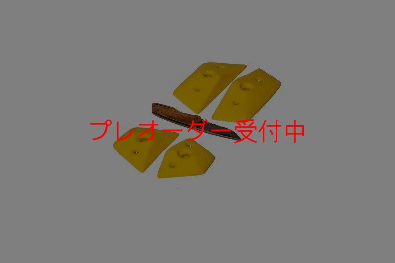 画像1: GR　テクトニクス プレート　S/プレオーダー (1)