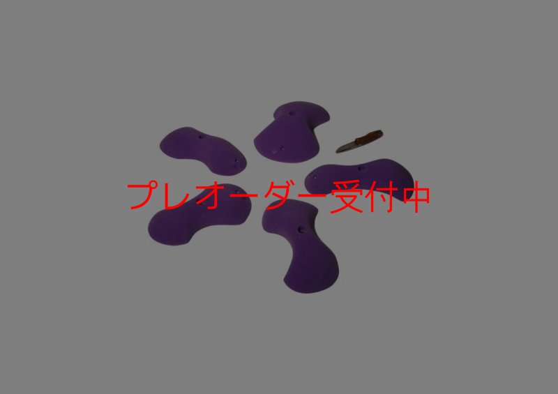 画像1: GR　フラッド　M/プレオーダー (1)