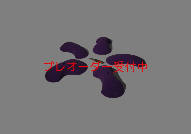 画像1: GR　フラッド　L/プレオーダー (1)