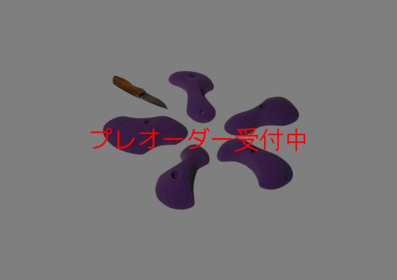 画像1: GR　フラッド　S/プレオーダー (1)