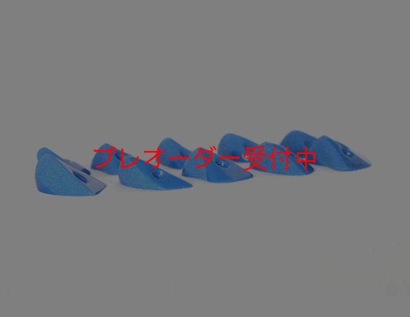 画像1: GR　カーボン Foot/プレオーダー (1)