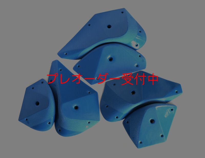 画像1: GR　カーボン L/プレオーダー (1)