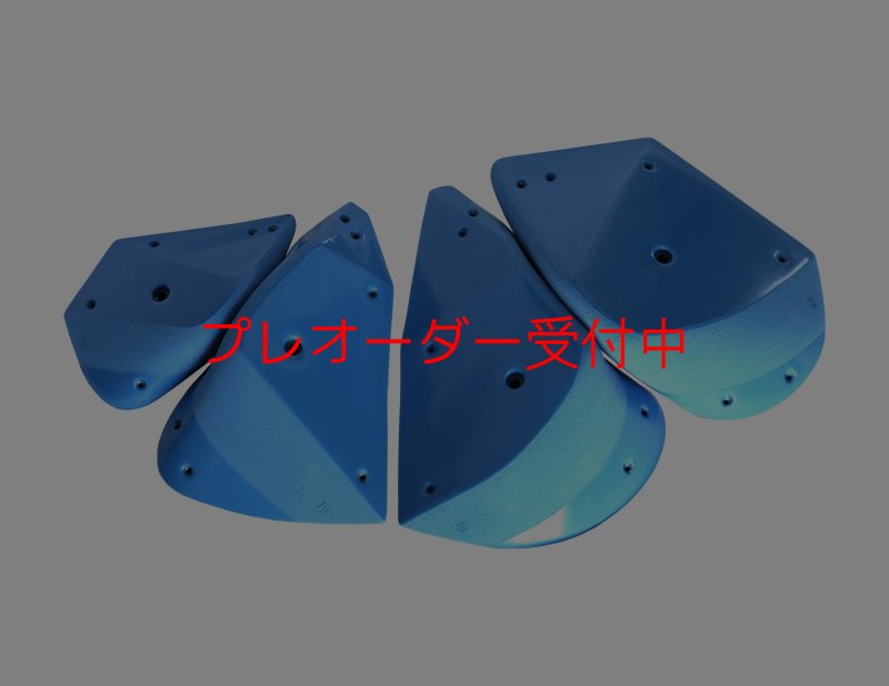 画像1: GR　カーボン XL/プレオーダー (1)