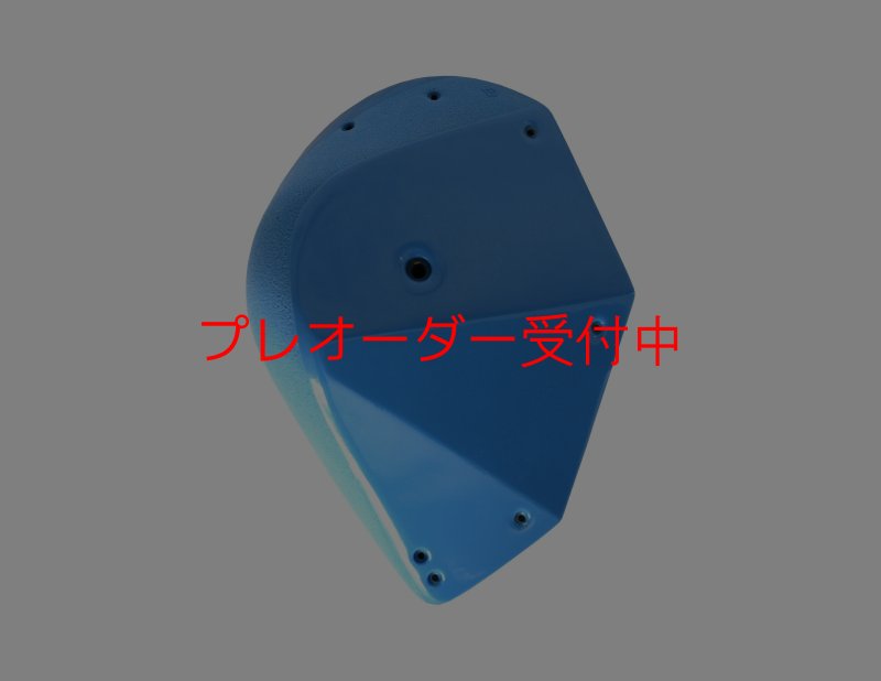 画像1: GR　カーボン XXL 1/プレオーダー (1)