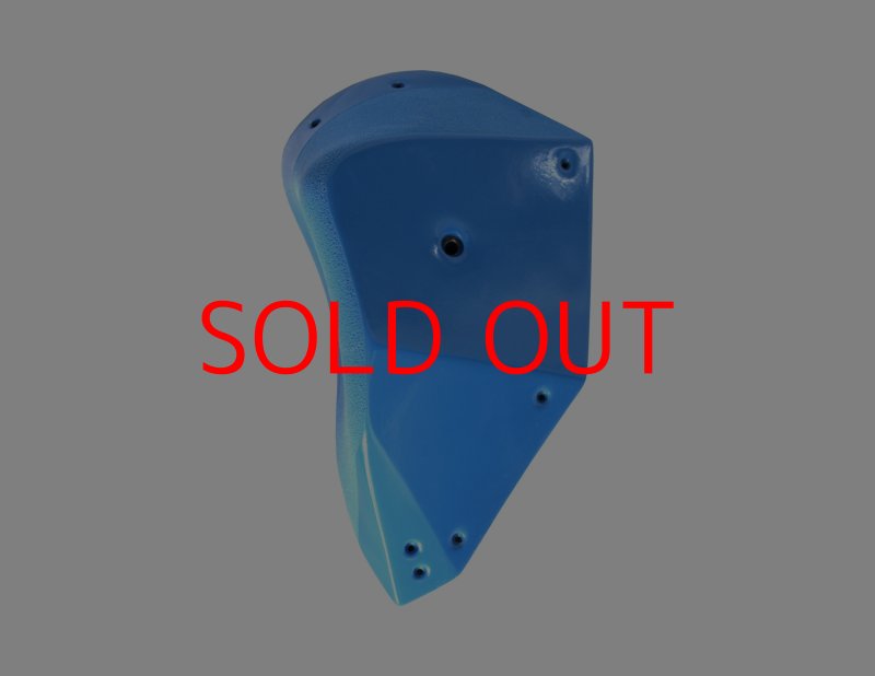 画像4: GR　カーボン XXL 1 (4)