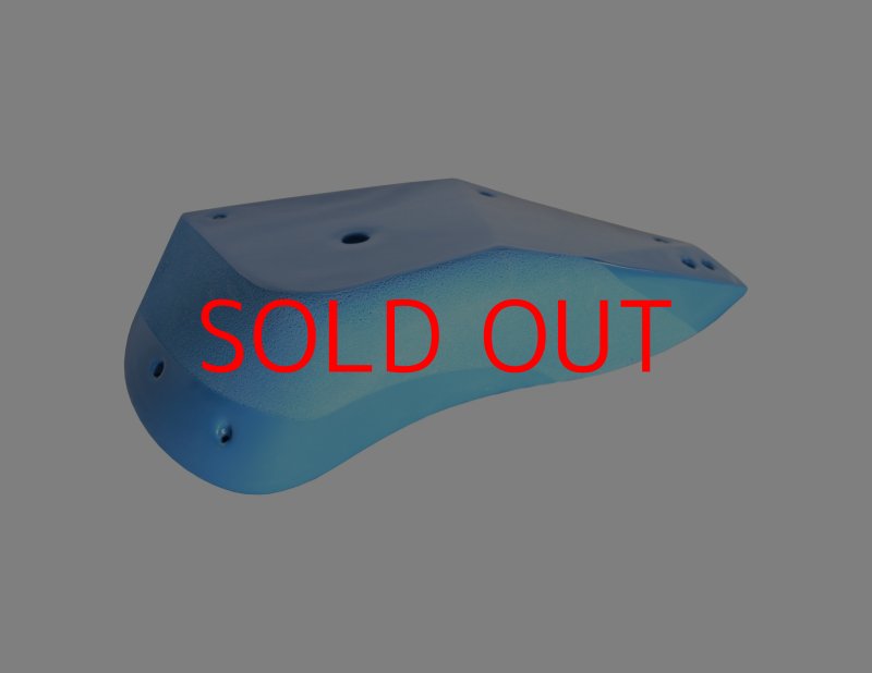 画像8: GR　カーボン XXL 1 (8)