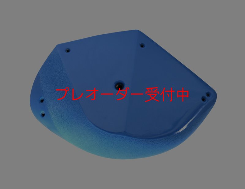 画像1: GR　カーボン XXXL1/プレオーダー (1)