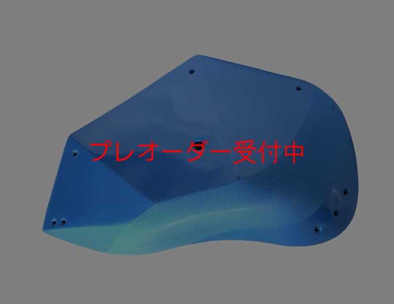 画像1: GR　カーボン XXXL 2/プレオーダー (1)