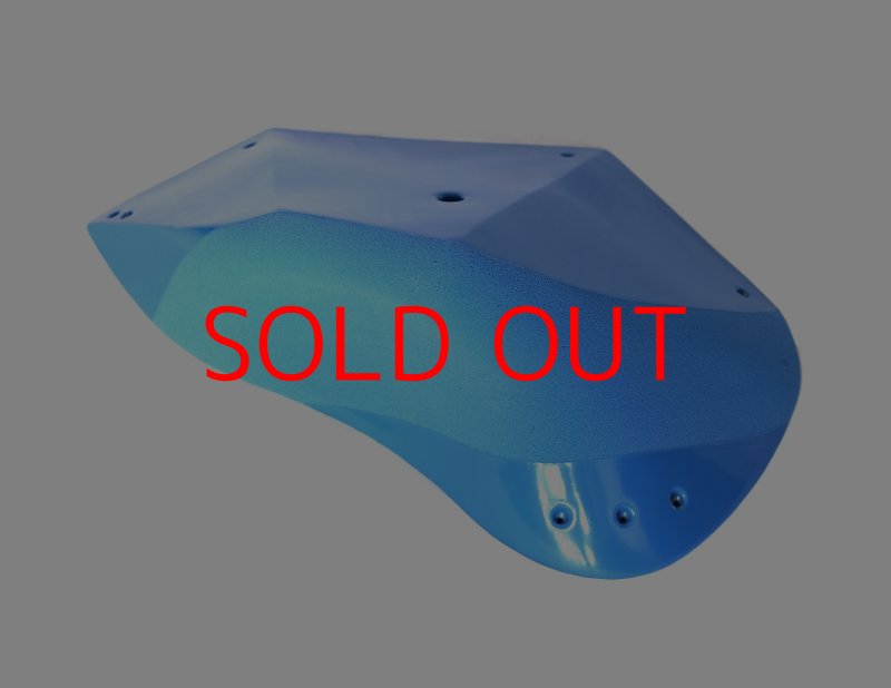 画像3: GR　カーボン XXXL 2 (3)