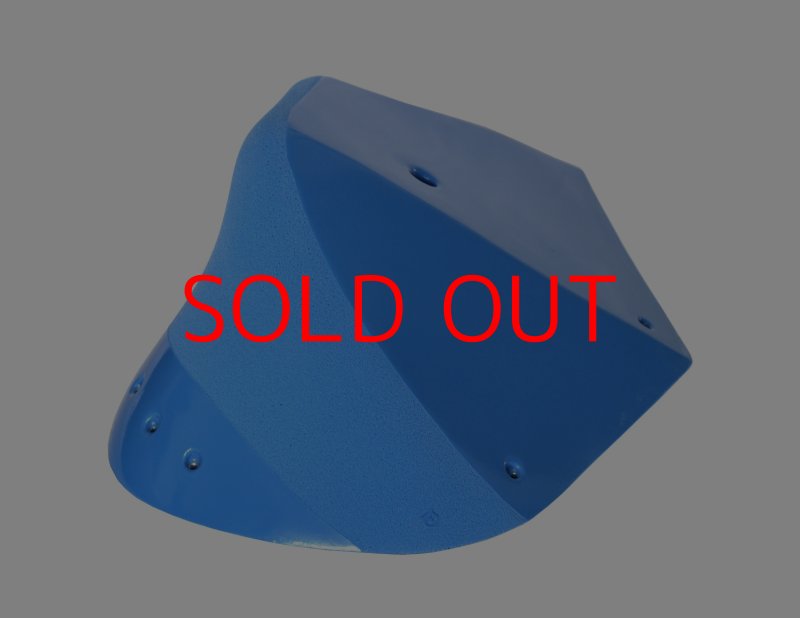 画像5: GR　カーボン XXXL 2 (5)