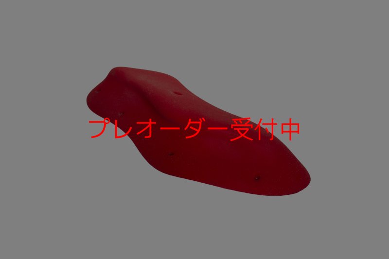 画像1: GR　グランドスウェル XXL 1/プレオーダー (1)