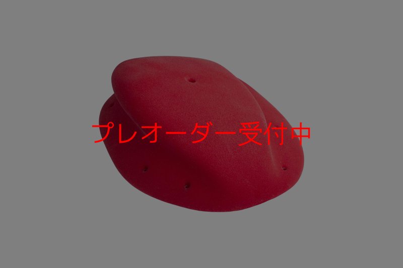 画像1: GR　グランドスウェル XXL 2/プレオーダー (1)