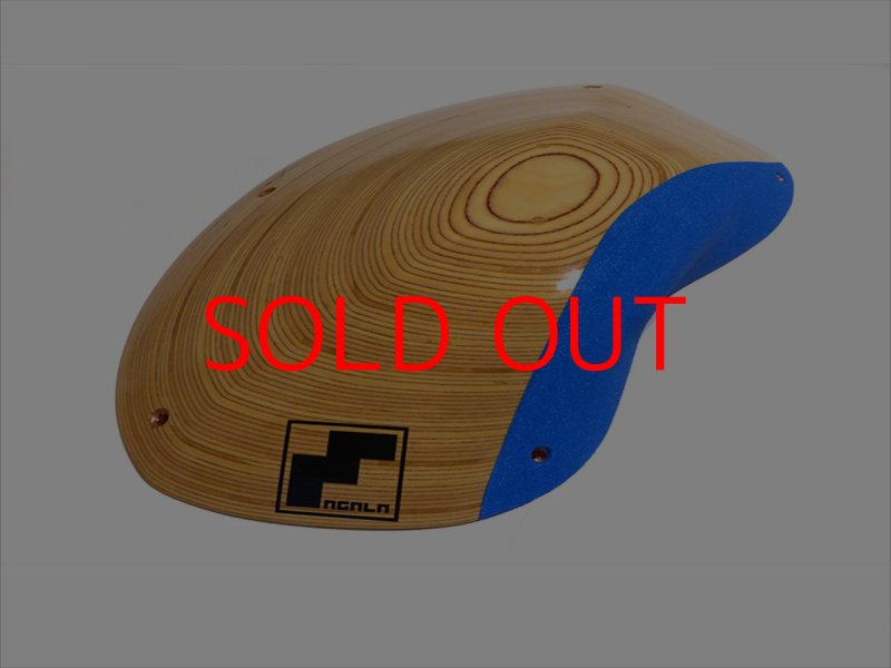 画像6: MA ルージック9.0 (6)