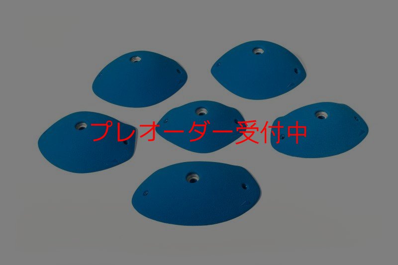 画像2: SQ Pure Rounded 10(PURE 21)/プレオーダー (2)
