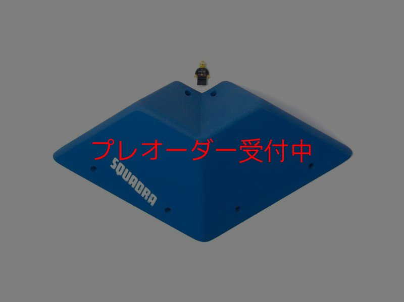 画像4: SQ　フルッティ　ディ　ボスコ　プロ01/プレオーダー (4)