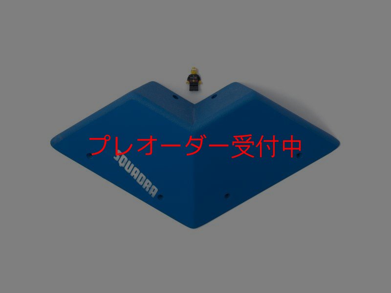 画像4: SQ　フルッティ　ディ　ボスコ　プロ04/プレオーダー (4)