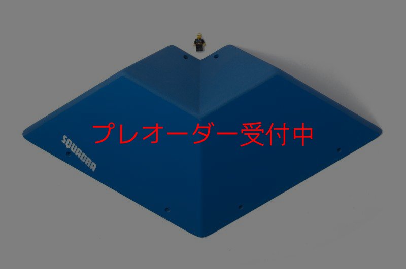 画像4: SQ　フルッティ　ディ　ボスコ　プロ02/プレオーダー (4)