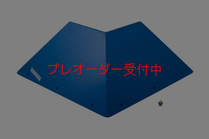 画像1: SQ　フルッティ　ディ　ボスコ　プロ06/プレオーダー (1)