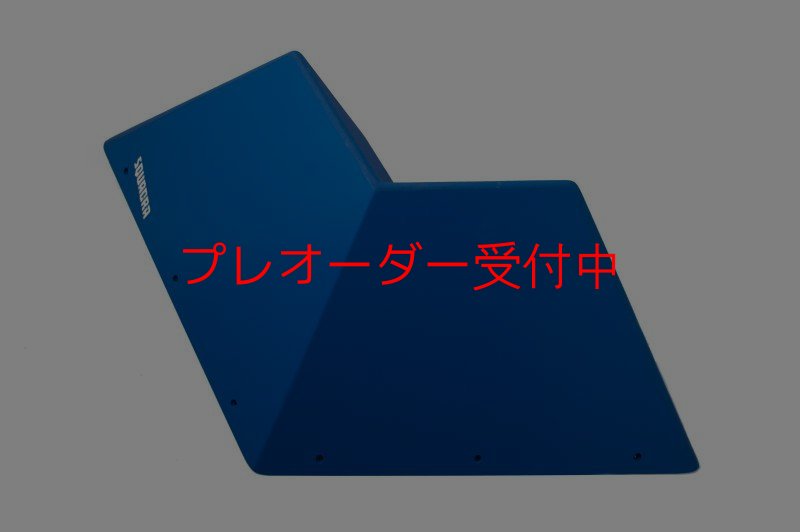画像2: SQ　フルッティ　ディ　ボスコ　プロ06/プレオーダー (2)
