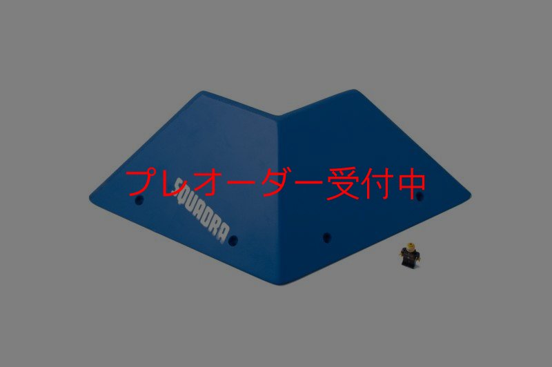 画像1: SQ　フルッティ　ディ　ボスコ　プロ04/プレオーダー (1)