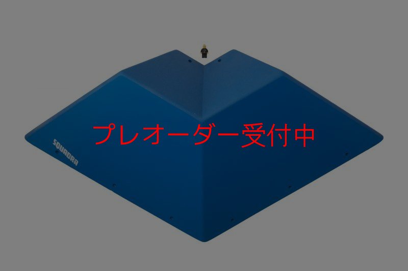 画像4: SQ　フルッティ　ディ　ボスコ　プロ03/プレオーダー (4)