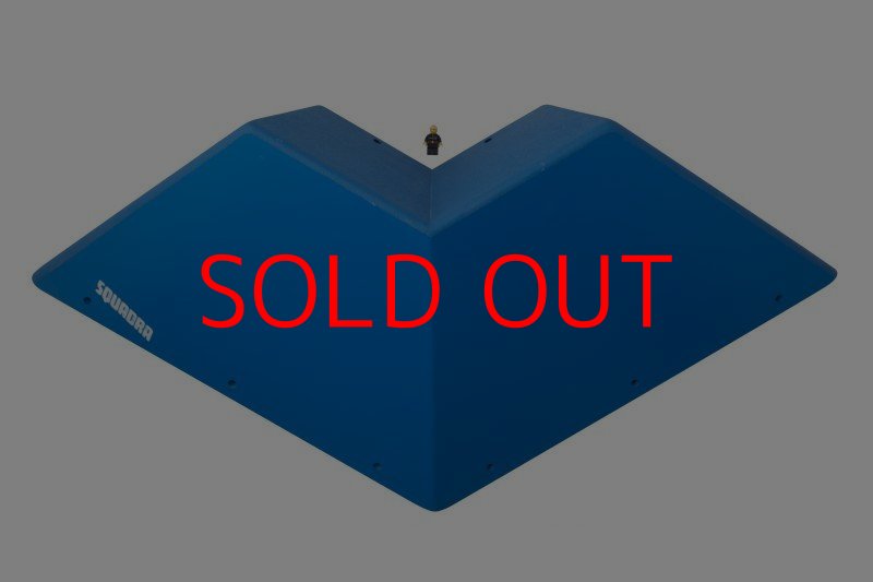 画像4: SQ　フルッティ　ディ　ボスコ　プロ06 (4)