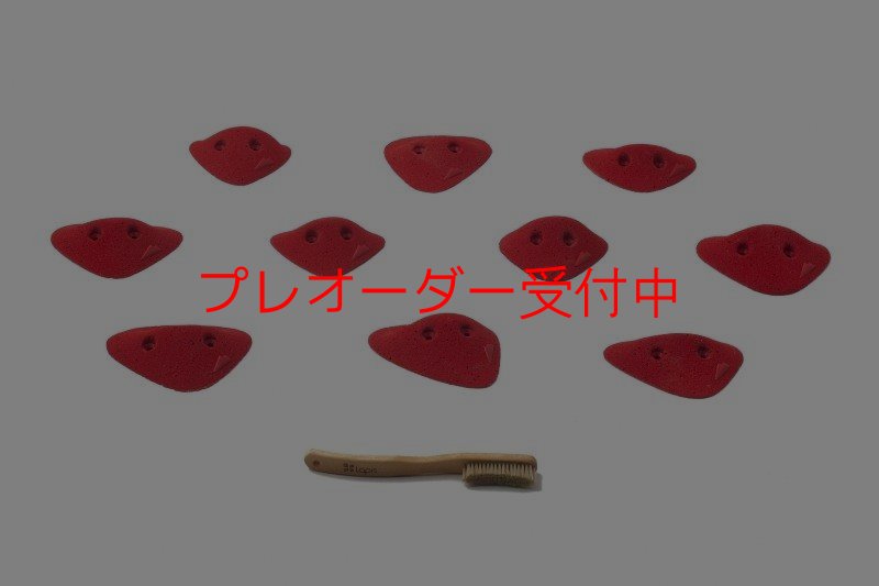 画像1: SQ Pure Triangular 09(PURE 29)/プレオーダー (1)