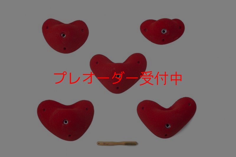 画像1: SQ Pure Rounded 09(PURE 30)/プレオーダー (1)