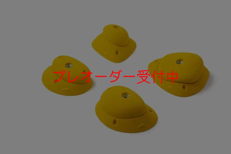 画像1: SQ　バルブ02/プレオーダー (1)