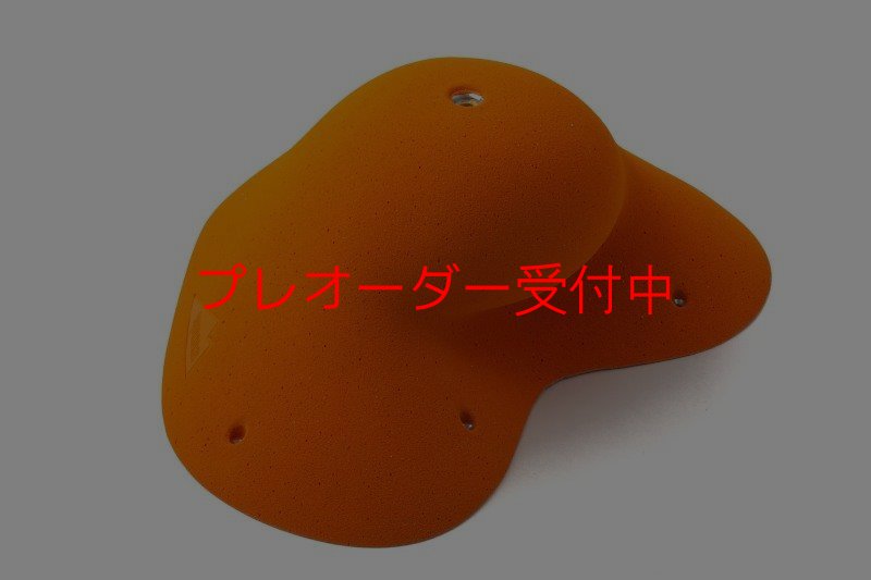 画像1: SQ Pure Rounded 03(PURE 31)/プレオーダー (1)