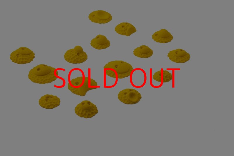 画像2: SQ　クライマックス19 　〜特別セール対象品50％OFF〜 (2)