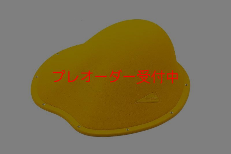 画像1: SQ　フィヒトル　21/プレオーダー (1)
